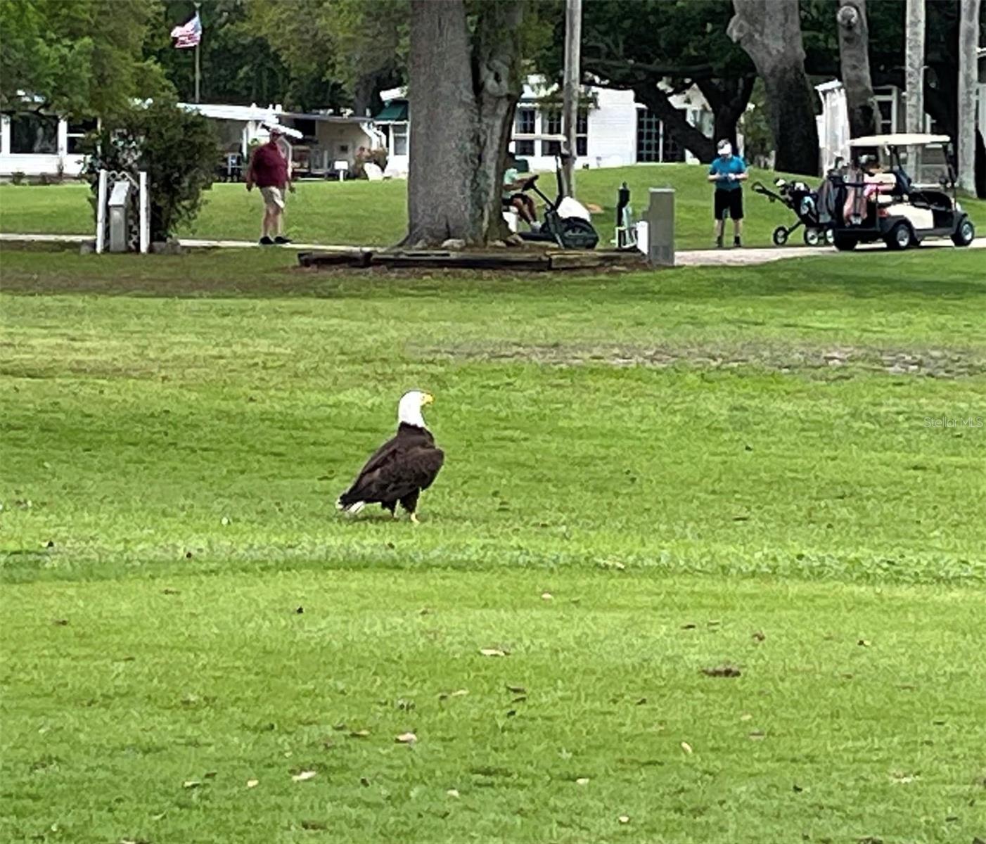 FAIRWAY VILLAGE MOBILE HOME PARK UNREC - Residential