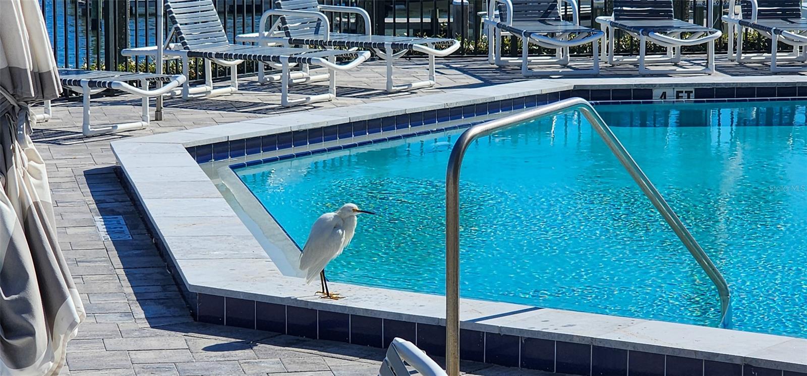 DIAMOND HEAD POINT CONDO - Residential