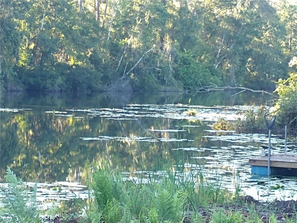 Photo of 0000 Eagle Boulevard, Land O Lakes, FL 34639 (MLS # R4911330)