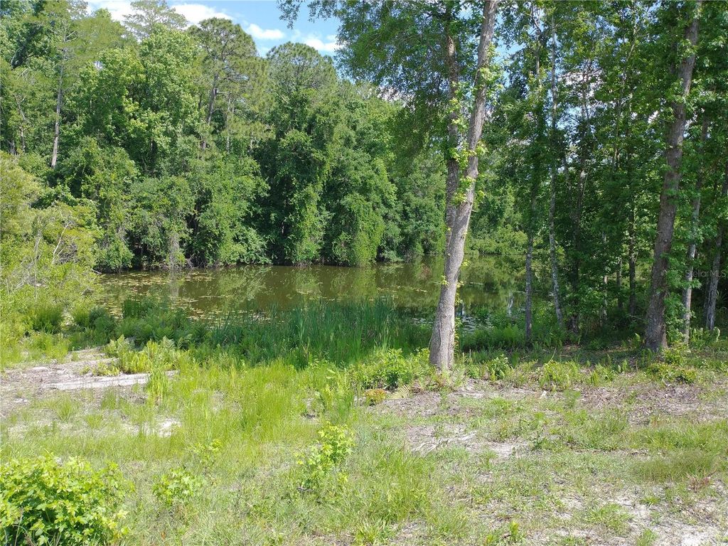 Photo of 0000 Eagle Boulevard, Land O Lakes, FL 34639 (MLS # R4911330)