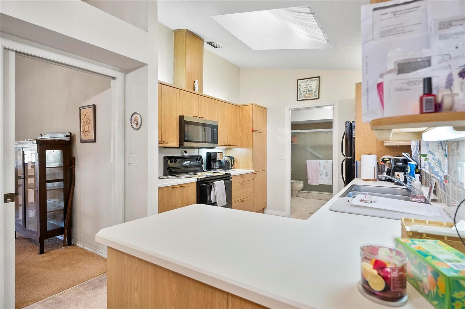 PALM COAST SEC 13 BRESSLER PRCL H BROOKSIDE PRCL P - Residential