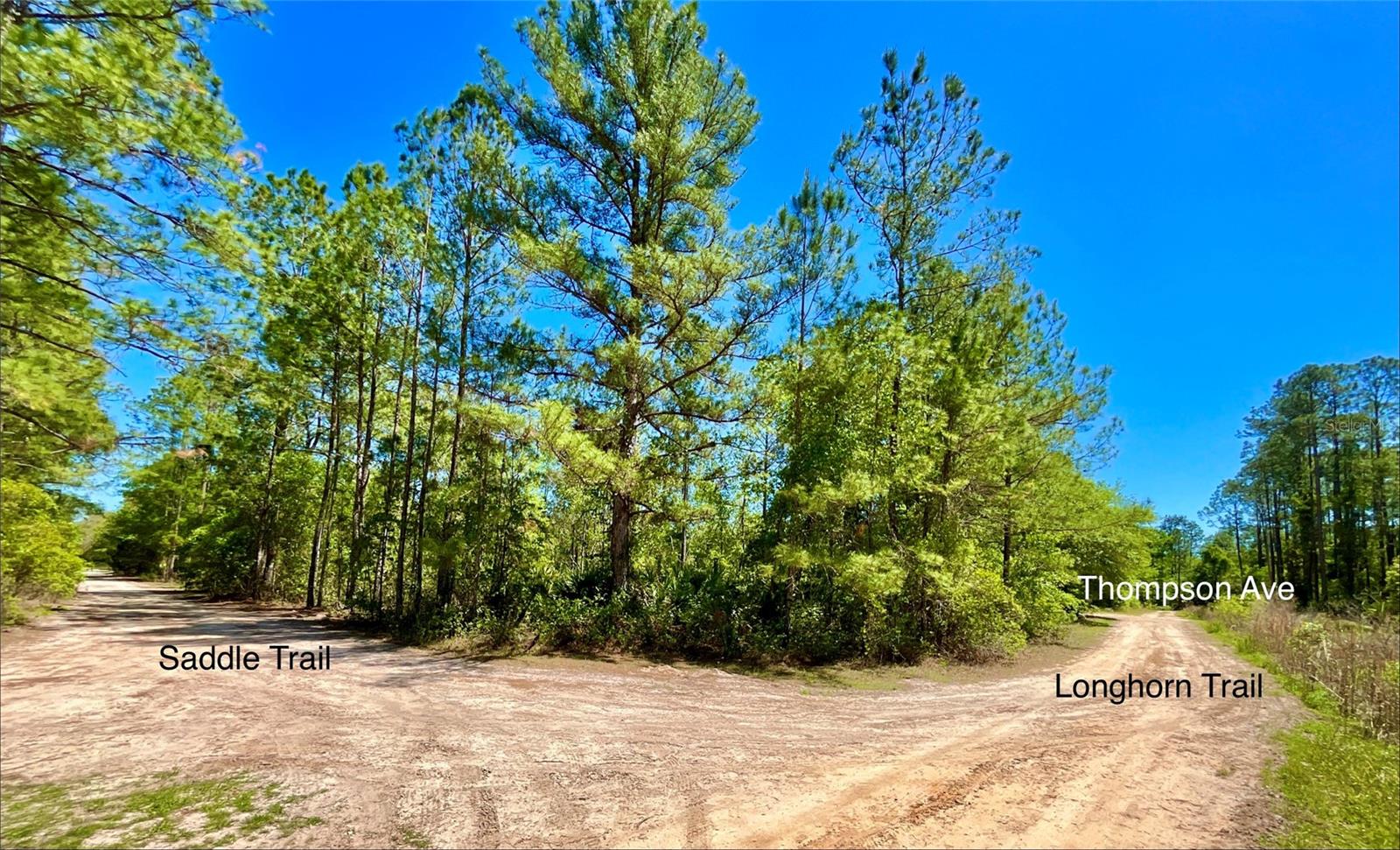 INTERLACHEN LAKES ESTATES - Land
