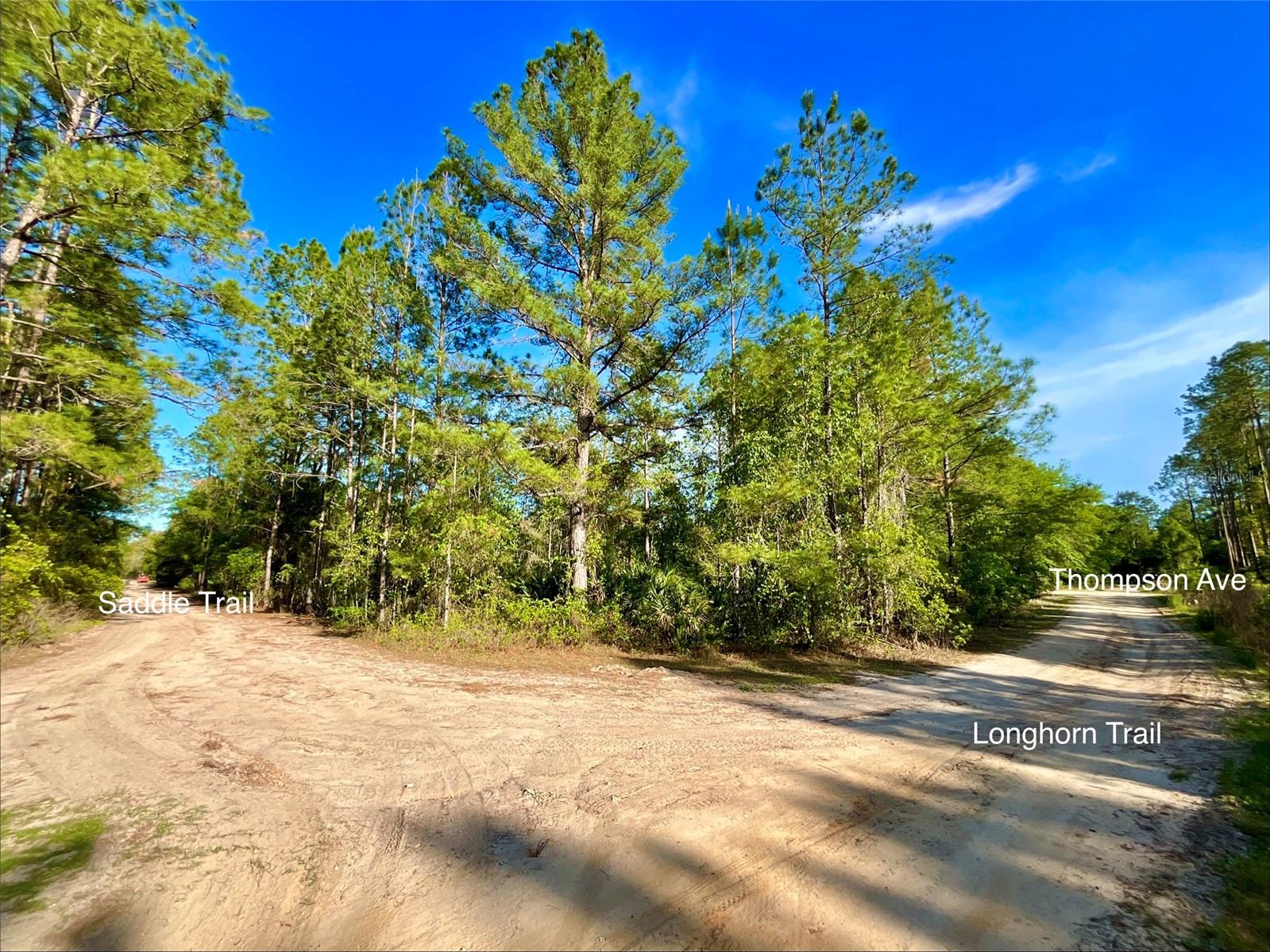 INTERLACHEN LAKES ESTATES - Land