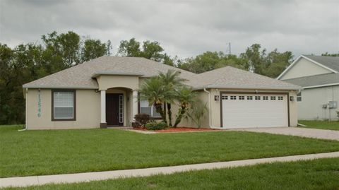 13546 BISCAYNE GROVE LANE GRAND ISLAND FL 32735