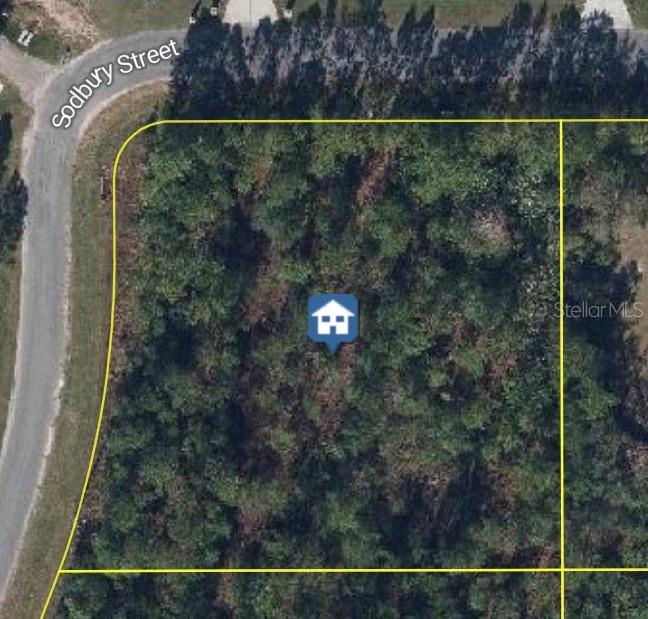 Build your dream home on this exceptional vacant lot in Wedgefield Cape Orlando Estates, one of East Orlando’s most sought-after communities! This expansive lot offers the perfect blend of privacy and natural beauty, nestled among custom-built homes and surrounded by serene Florida landscape. Enjoy the peace and space of country living with convenient access to major highways, the Orlando International Airport, Lake Nona Medical City, UCF, and the Space Coast beaches. Whether you’re looking to build now or invest for the future; this is an outstanding opportunity in a rapidly growing area. Don’t miss your chance to own a piece of paradise in Wedgefield!