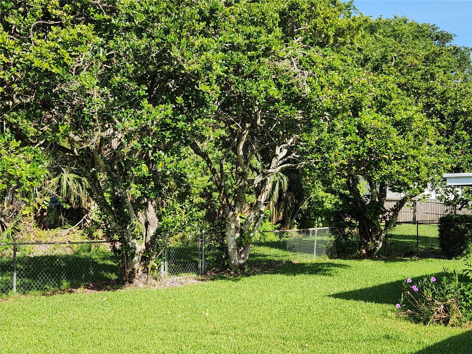 GOLFVIEW SEC 04 - Residential