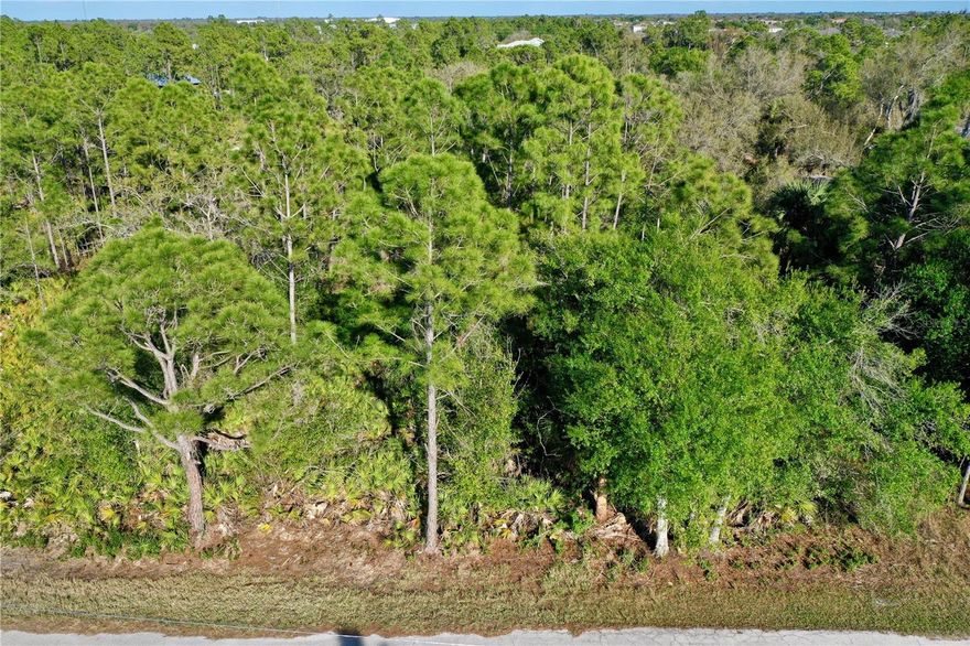 This standard 80x125 (10,000 sq. ft.) lot offers a fantastic opportunity to build your Florida home in a growing and accessible neighborhood. Located just off Kings Highway, this .23-acre property features the added benefit of a public water line nearby on Patera Avenue, providing excellent flexibility for your future build. While a septic system and well would be required for construction, the proximity of the utility line around the corner makes this a standout choice for those looking to secure a residential site with great potential. The location is perfectly suited for those who value convenience and easy travel, sitting just down the street from US-41 and approximately five minutes from I-75. This central positioning allows for effortless trips north or south through the state. The property is about 15 minutes away from the Port Charlotte Town Center, a wide variety of dining options, and the Charlotte County Sports Park, the Spring Training home of the Tampa Bay Rays. For those who love the Florida lifestyle, the recreational opportunities are endless. Golfers can enjoy a different course every day of the week, and some of the area’s most beautiful beaches, such as Boca Grande or Englewood, are within a 30-minute drive. Don't miss this chance to purchase a well-located property in a thriving community and start planning your new home today.