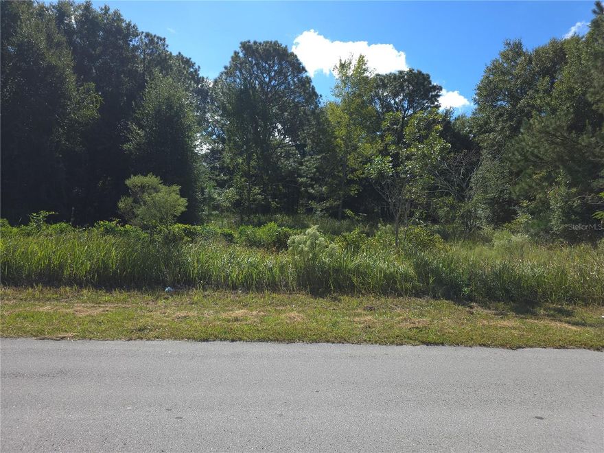 Undeveloped lot ideally located minutes from Ocala and Belleview Florida, being sold as part of a package of TWO parcels including the adjacent lot, 60 Juniper Pass, totaling a combined 0.94 acres, PERFECT for an aspiring investor OR homebuilder looking to place a Site-built Single-Family Home, OR a Multifamily building! The combined lots could easily accommodate a duplex or triplex! There is also an option to bundle this purchase with a 3-lot package on the same street if you're considering multiple units, like an additional quadruplex!