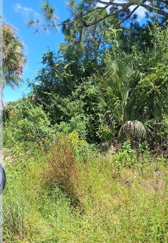 Photo of Gerhard Avenue, Palm Bay, FL 32908 (MLS # S5158133)
