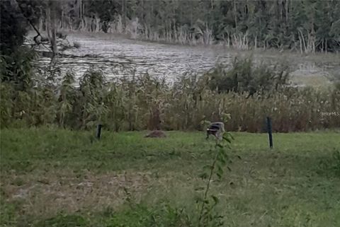 Tiny photo for 17873 E Highway 40, Silver Springs, FL 34488 (MLS # G5112338)