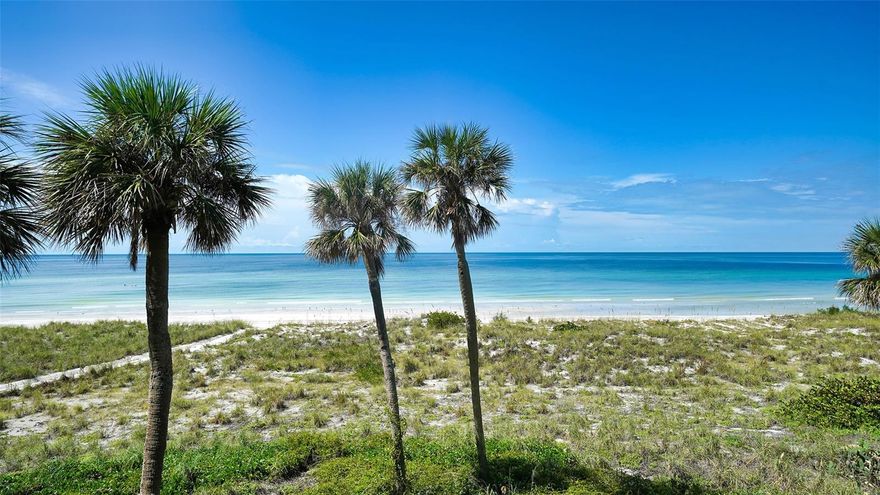 Direct beachfront living! This beautifully updated 2-bedroom, 2-bath residence offers unobstructed Gulf of Mexico views and front-row access to a slice of Longboat Key’s most quiet and uncrowded shoreline. Available fully furnished and turnkey, this condo is ready for immediate enjoyment as a primary residence, seasonal escape, or investment property.

The spacious open layout connects the kitchen, dining, and living areas, creating a bright and functional space designed to maximize natural light and water views. The private balcony is the perfect place to spot dolphins, manatees and other wildlife while enjoying morning coffee or evening sunsets.

With only 42 residences, Tiffany Plaza offers a more private and welcoming atmosphere than larger condominium communities, with an active clubhouse and strong sense of community among owners. Residents also enjoy close proximity to Bayfront Park, featuring dog parks, tennis, pickleball, kayak facilities, fitness classes, and beautiful bay front walking paths.