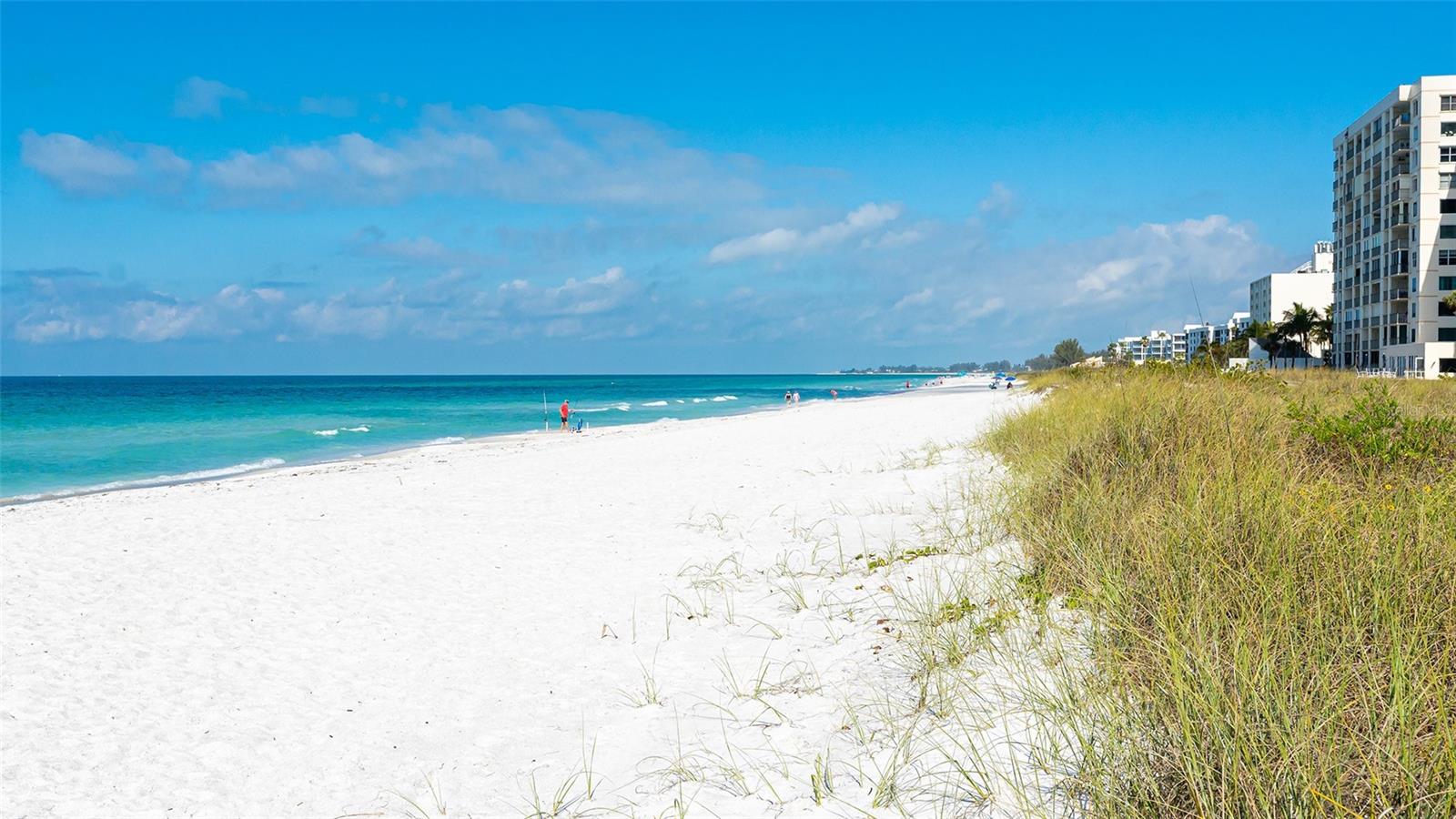 TIFFANY PLAZA - Residential