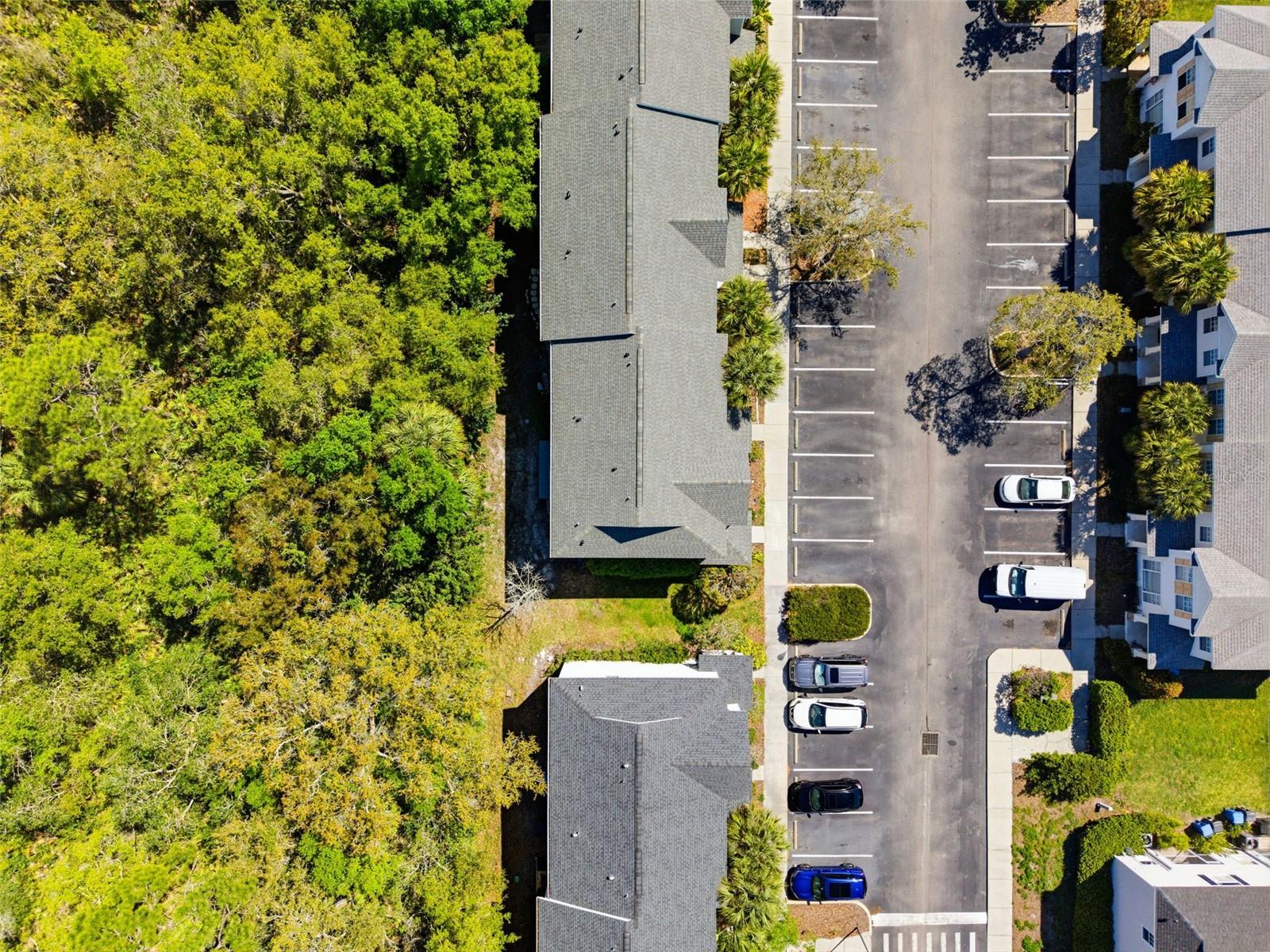 COUNTRY CHASE - Residential