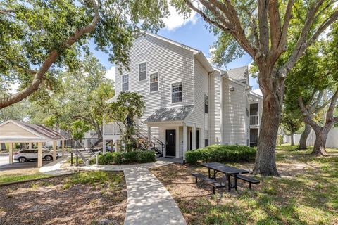 3301 HAVILAND CT 203 PALM HARBOR FL 34684