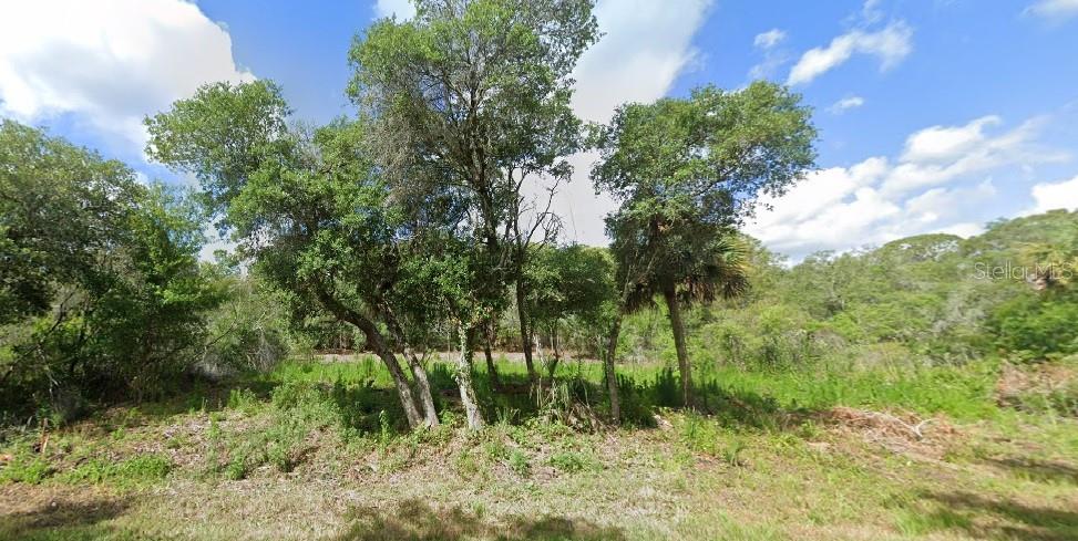 Build your dream home on this residential lot located in the heart of Port Charlotte, within a growing neighborhood featuring new construction and easy access to everything Southwest Florida has for you. Zoned RSF3.5 (single-family residential) with public paved road access, this lot is ideal for a custom-built home or a long-term investment.
Enjoy no HOA, no CDD, and low property taxes. Just minutes from shopping, dining, parks, and a short drive to the beaches of Boca Grande and Englewood. This parcel is not in a scrub jay zone (verify with county) and is located in Flood Zone AE.
Don’t miss the opportunity to own land in one of Florida’s most desirable and affordable coastal communities!