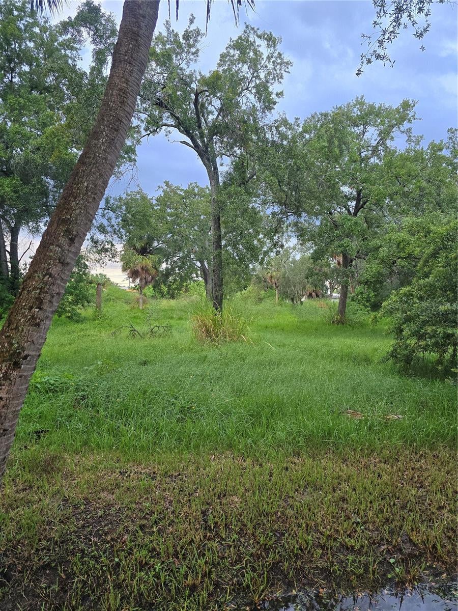 Photo of 7300 S Swoope Street, Tampa, FL 33616 (MLS # TB8553904)