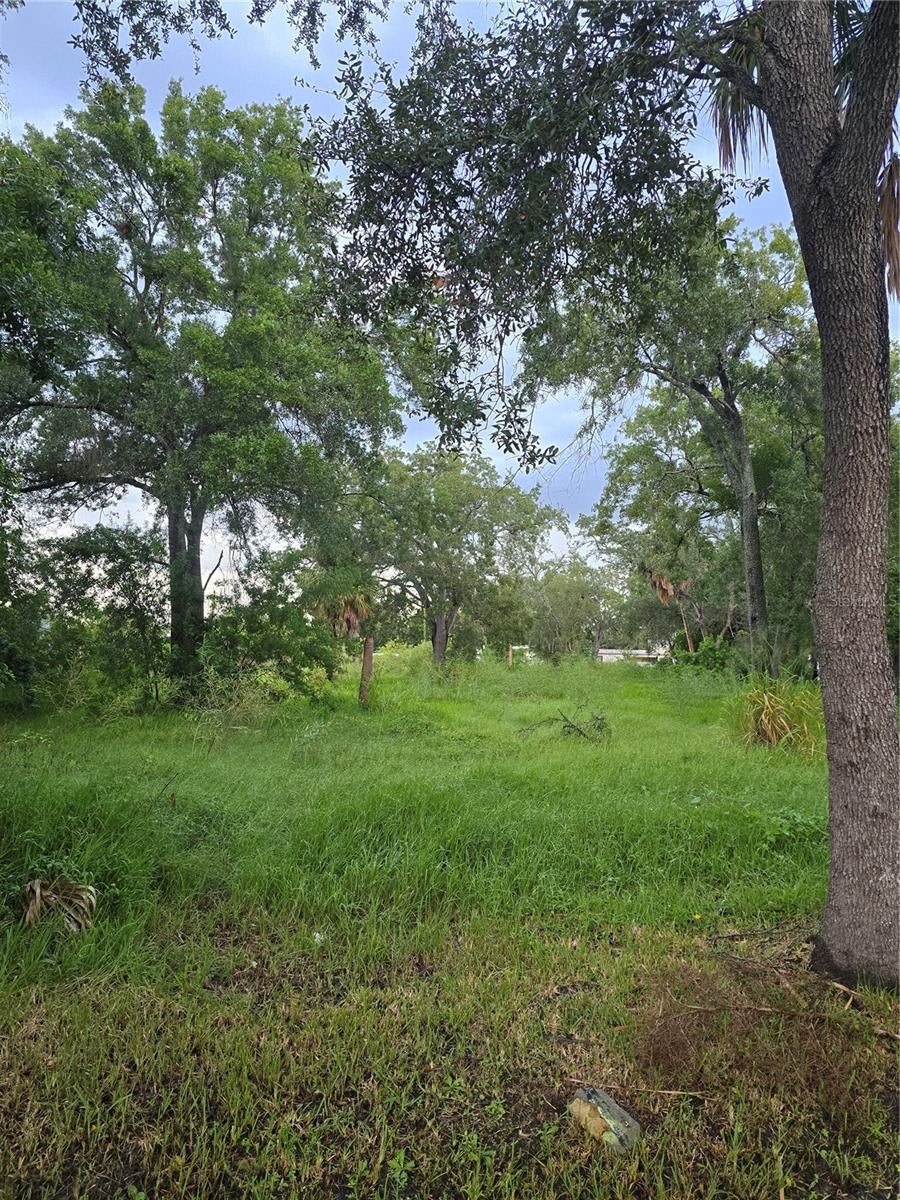 Photo of 7300 S Swoope Street, Tampa, FL 33616 (MLS # TB8553904)