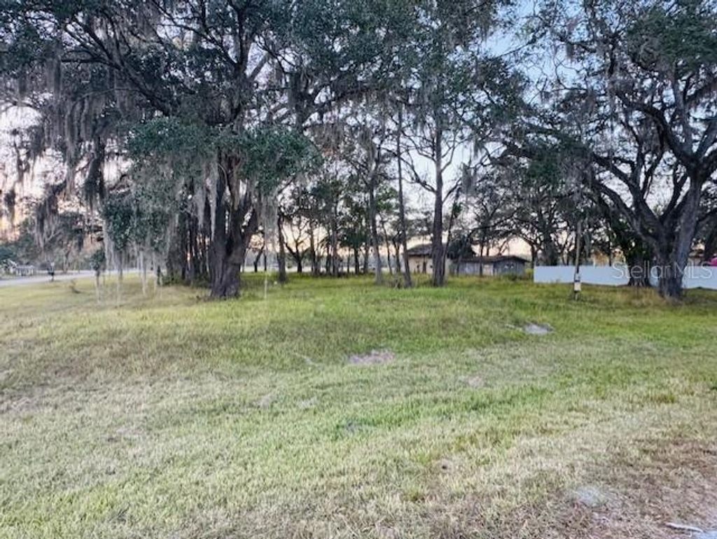 Photo of 17481 Celia Avenue, Brooksville, FL 34604 (MLS # G5105778)