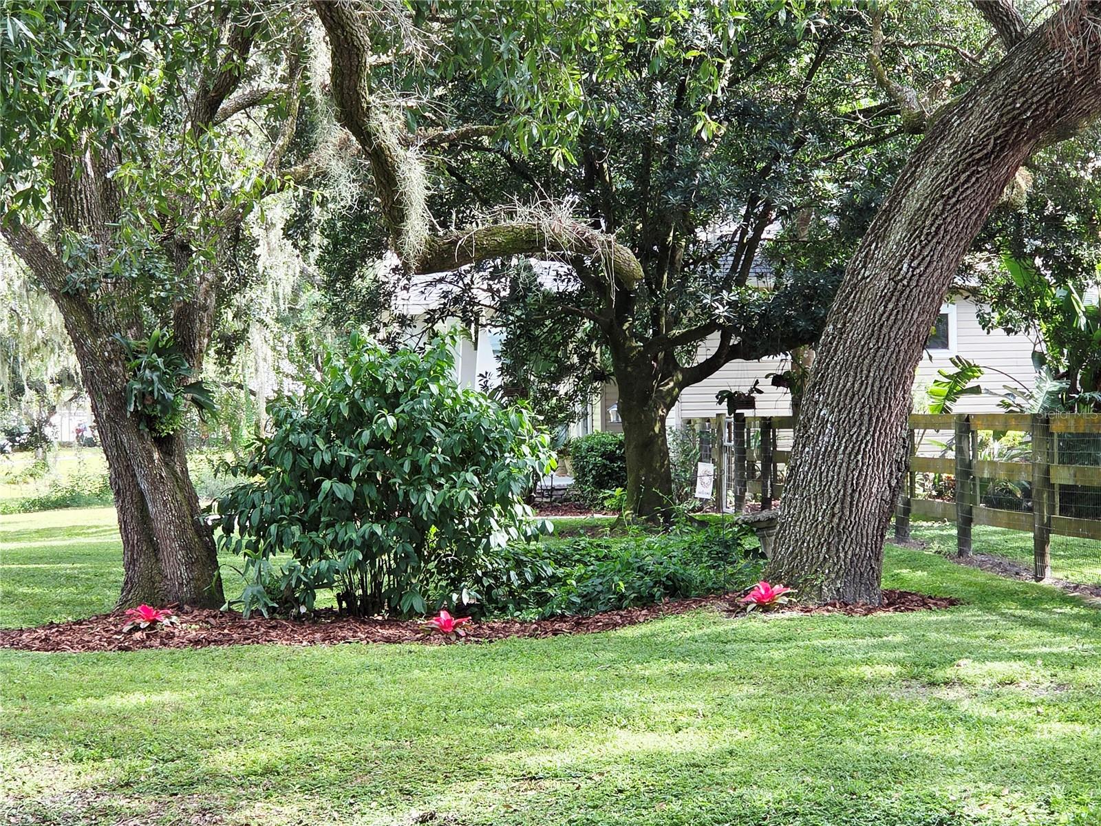 NOT IN SUBDIVISION - Residential