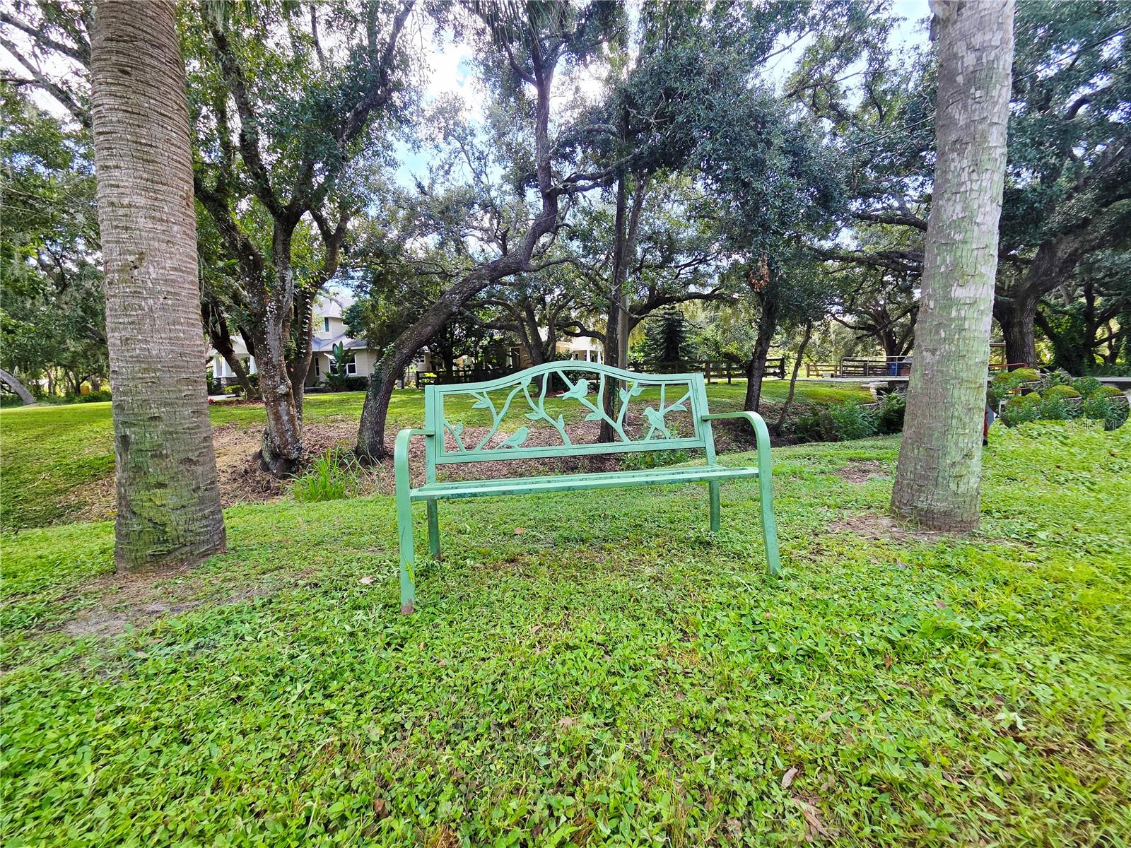 NOT IN SUBDIVISION - Residential
