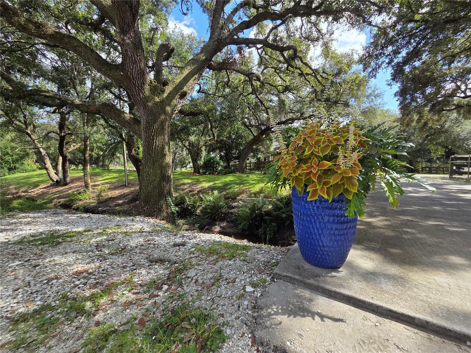 NOT IN SUBDIVISION - Residential