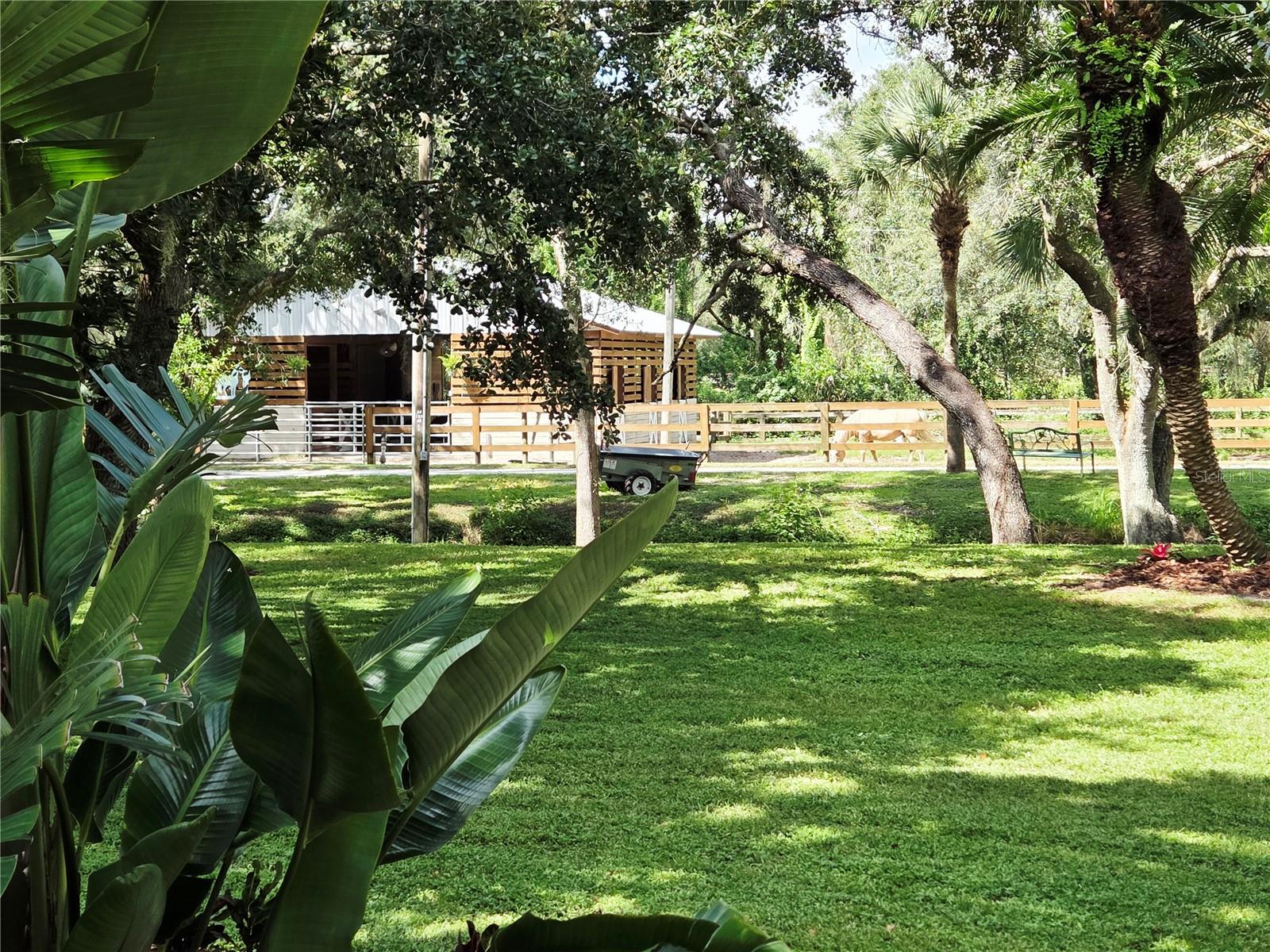 NOT IN SUBDIVISION - Residential