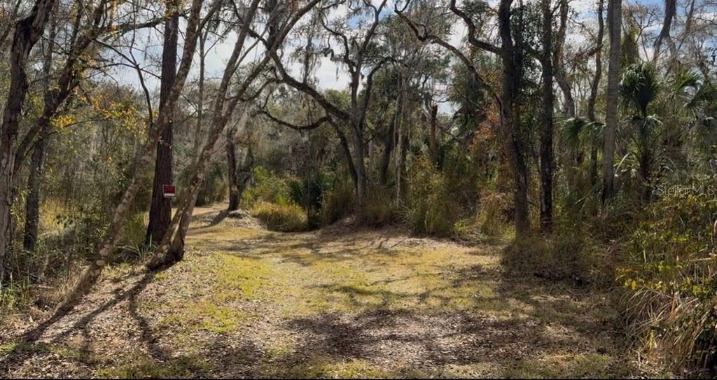 Photo of 4051 Dixiana Drive, Bowling Green, FL 33834 (MLS # P4937849)