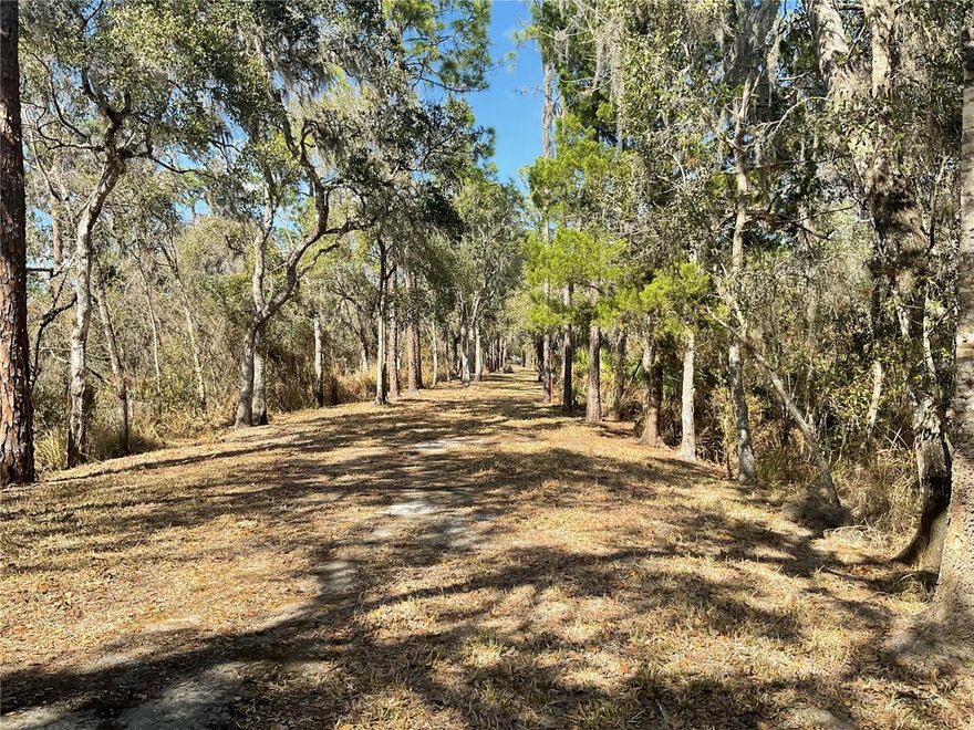 Discover the perfect blend of privacy, natural beauty, and opportunity with this 97 acre property in Hardee County. With Future Land Use:Agriculture and Zoning Farm Residential,this expansive tract offers flexibility for farming, ranching recreation , or building your dream home.
Highlights:97 Acres of Prime Agricultural Land/Future Land Use Agriculture/Zoned Farm Residential/Site-Built & Manufactured Homes Allowed/River Running through the property/Abundant Wildlife/Cleared Entrance with Gate Installed/Direct Access from Paved Road
A River runs through the land, adding scenic beauty , a water source for livestock and excellent opportunities for fishing and recreation. The property attracts abundant wildlife, making it ideal for nature lovers , outdoor enthusiasts, or other seeking a private hunting retreat.