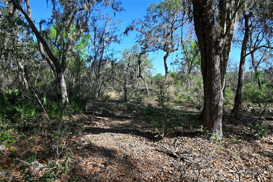 Prime Groveland, FL Property  off of Villa City Road– 37 Acres. This exceptional 37-acre parcel in the heart of Groveland, FL, offers the perfect blend of privacy and opportunity. With 11 buildable acres (over 1400 feet of lake front on Big Bluff Lake) and 26 acres of pristine land for privacy and wildlife, this property is ideal for those seeking both development potential, ideal for a private estate, family retreat or recreational getaway. Enjoy easy road access  and a prime location just minutes from town and all essential amenities. Surrounded by larger parcels in a beautiful rural setting, this is truly a rare find. Just a short drive from Clermont and Orlando. A rare opportunity to own a legacy property in one of Central Florida's most protected and peaceful areas. A full boundary survey is already completed, making your path to ownership even smoother. 2 acres have been cleared in the center of the land for complete privacy.

Current property surveys are complete