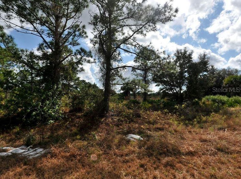 Photo of Winterville Circle, North Port, FL 34288 (MLS # O6185098)