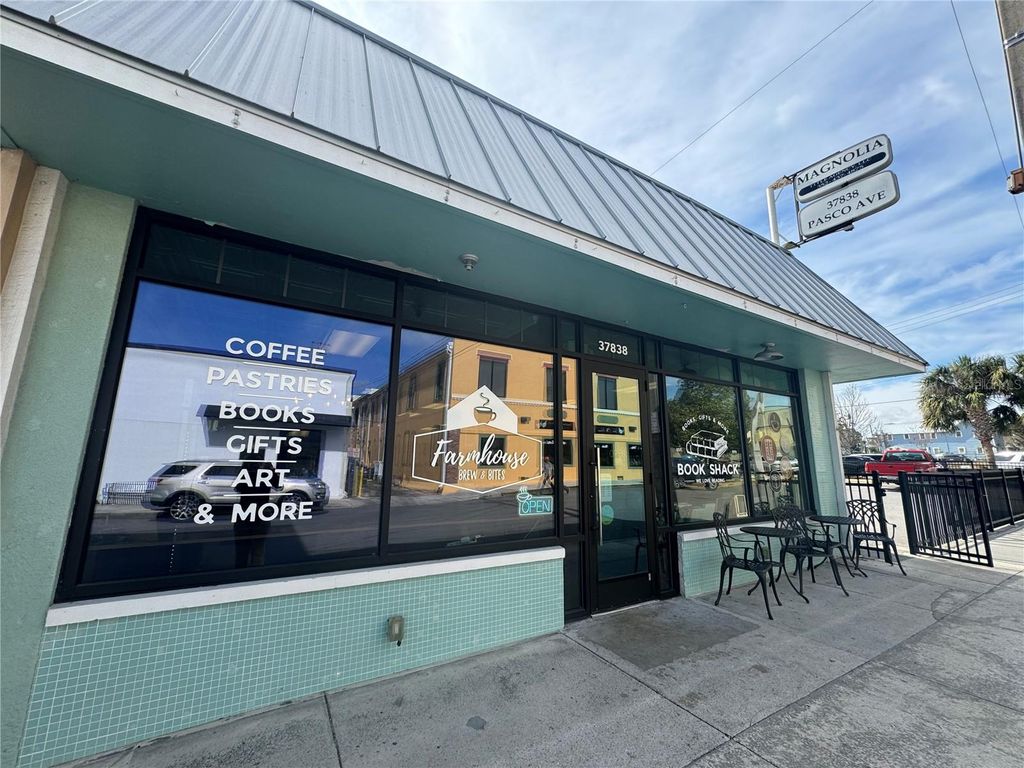 Photo of 36157 Canelli Way, Dade City, FL 33523 (MLS # O6294119)