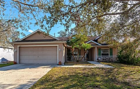 A home in PARRISH