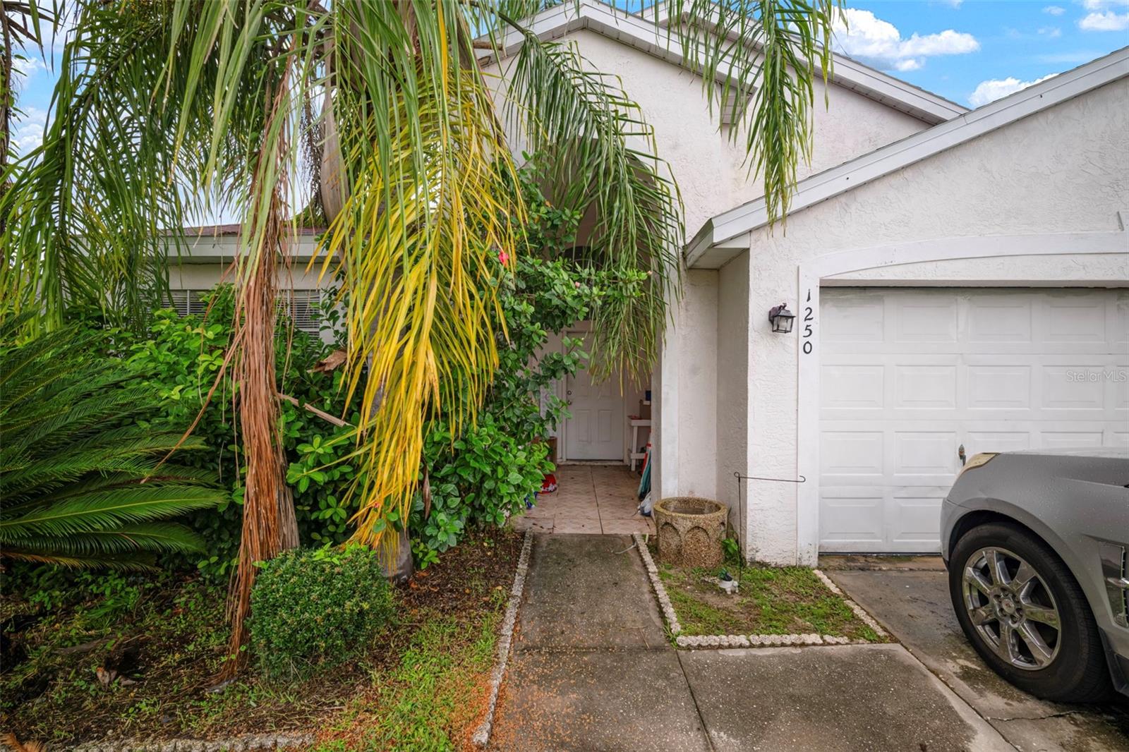 1250 TIMBER TRACE DRIVE