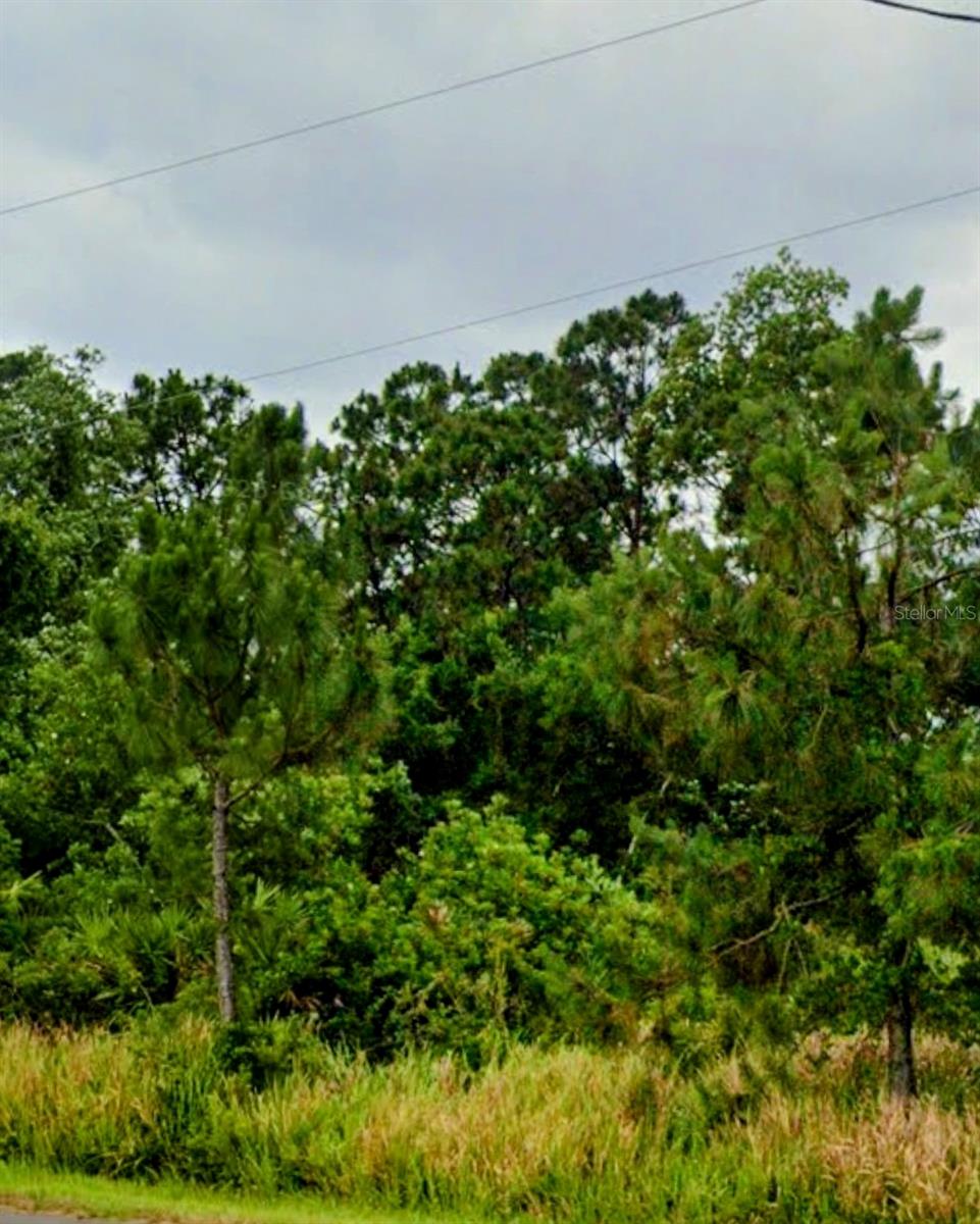Photo of 6715 Benevento Avenue, Sebring, FL 33872 (MLS # TB8559581)