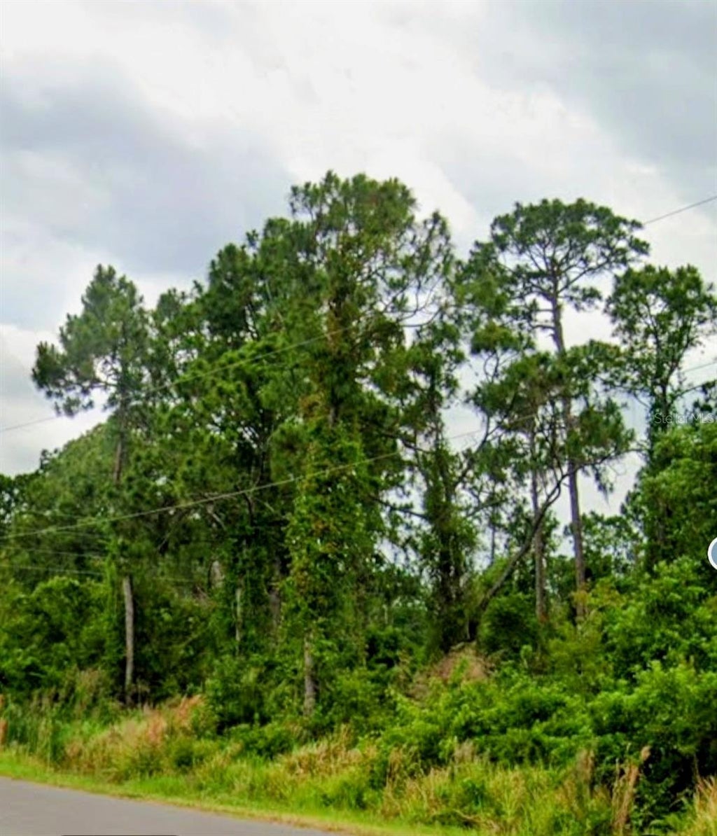 Photo of 6715 Benevento Avenue, Sebring, FL 33872 (MLS # TB8559581)