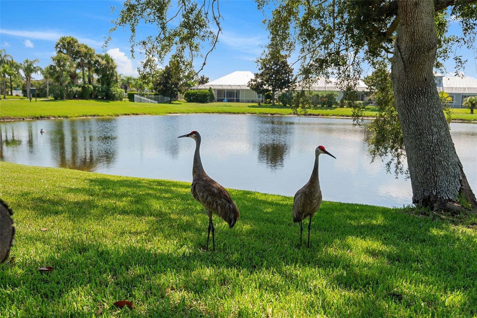 SAWGRASS AT SUNTREE PHASE ONE - Residential
