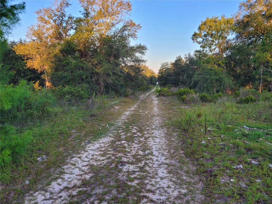 This 0.23-acre vacant lot in Williston, Levy County. The parcel sits on NE 61st Lane with road frontage and is surrounded by mature Florida native trees — the kind of canopy that takes decades to grow and makes this part of Levy County feel a world away from the city, even though it isn't.
The land is lightly wooded with sand pine and native scrub, typical of this corridor in Levy County. There is no structure on the property. Build your dream home or mobile home. The surrounding parcels are a mix of vacant land and established rural homesites, which gives this area a rural character without the isolation.
Location is one of the strongest selling points here. Nature Coast Regional Hospital is right in Williston, less than 10 minutes away. Ocala — with HCA Florida Ocala Hospital, AdventHealth, full retail, and Paddock Mall — is about 25 miles, roughly a 30-minute drive. Gainesville, home to UF Health Shands, North Florida Regional Medical Center, and the University of Florida, is approximately 25 min. The World Equestrian Center in Ocala, one of the largest equestrian complexes in the United States, is about 35 to 40 min — a real draw for buyers connected to the horse industry. For everyday needs, Williston has grocery, pharmacy, and local dining, with larger shopping options in both Ocala and Gainesville within the same commute window.