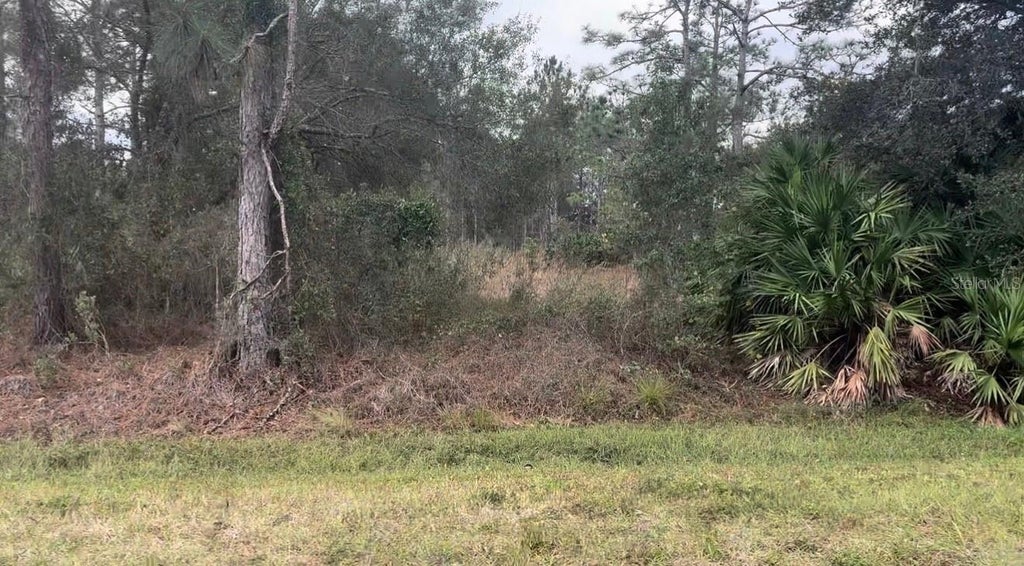 Photo of Somerset Street, Orlando, FL 32833 (MLS # O6445150)
