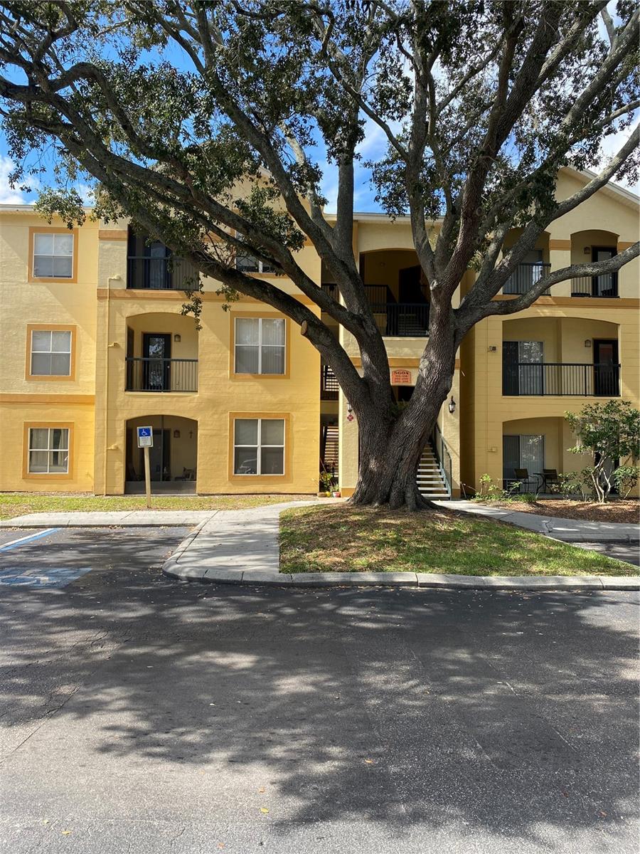PINNACLE AT CARROLLWOOD - Residential Lease