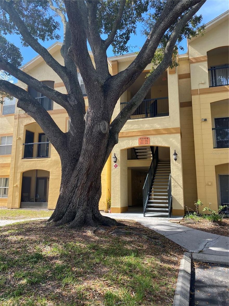 Adorable and well-maintained 1 bed/1 bath condo plus den. The den is perfect for addititional guests, as an office or separage media room. The kitchen is open and bright. Brand new carpet throughout and freshly painted.  The Pinnacle at Carrollwood is perfectly located near the Veterans Expressway and Dale Mabry. The community  features a pool area, recreation building, fitness, scenic walking paths and more. Washer/dryer included. Water/sewer/trash included. Schedule  your viewing today