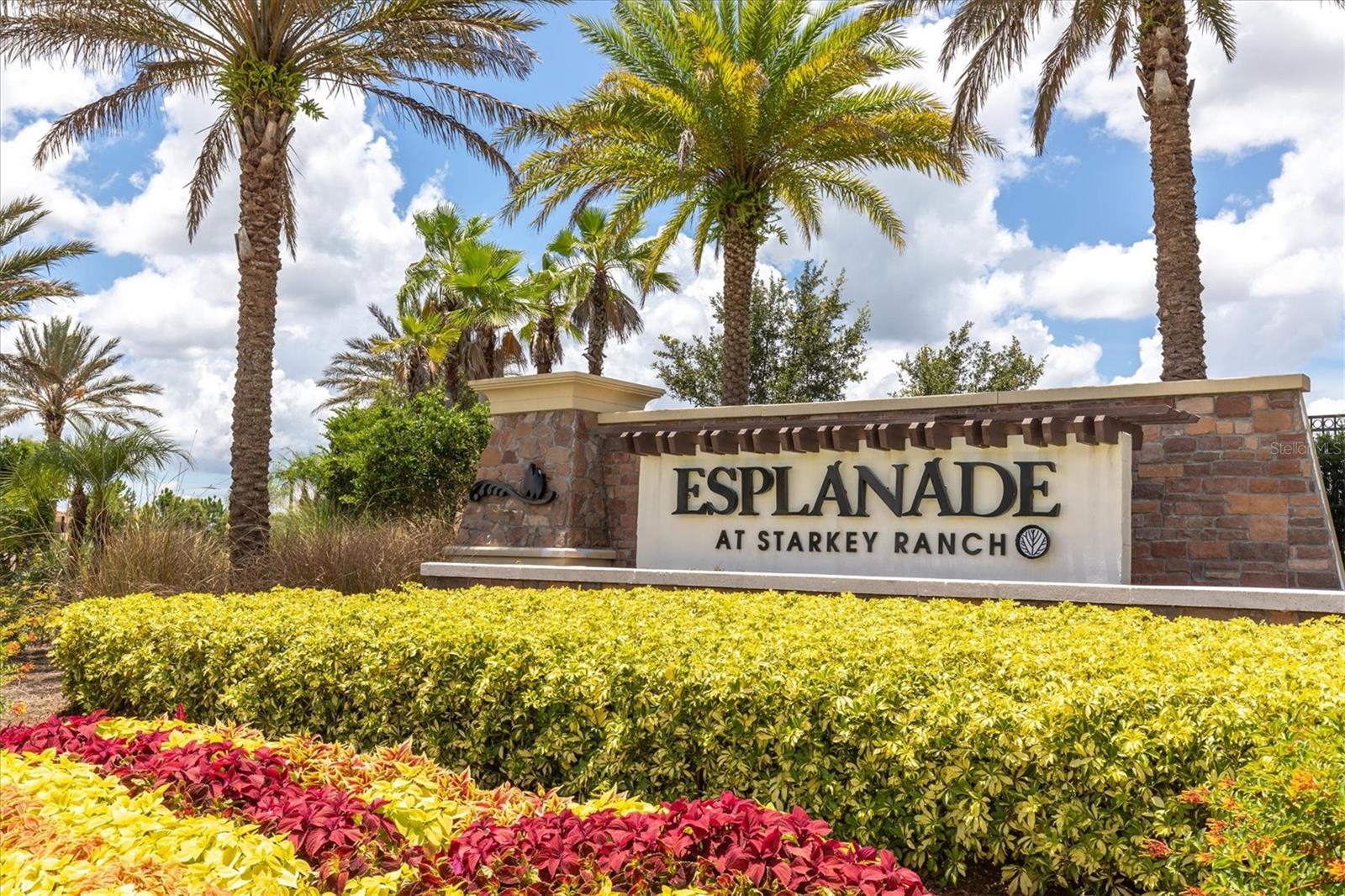 ESPLANADE/STARKEY RANCH PH 2A - Residential