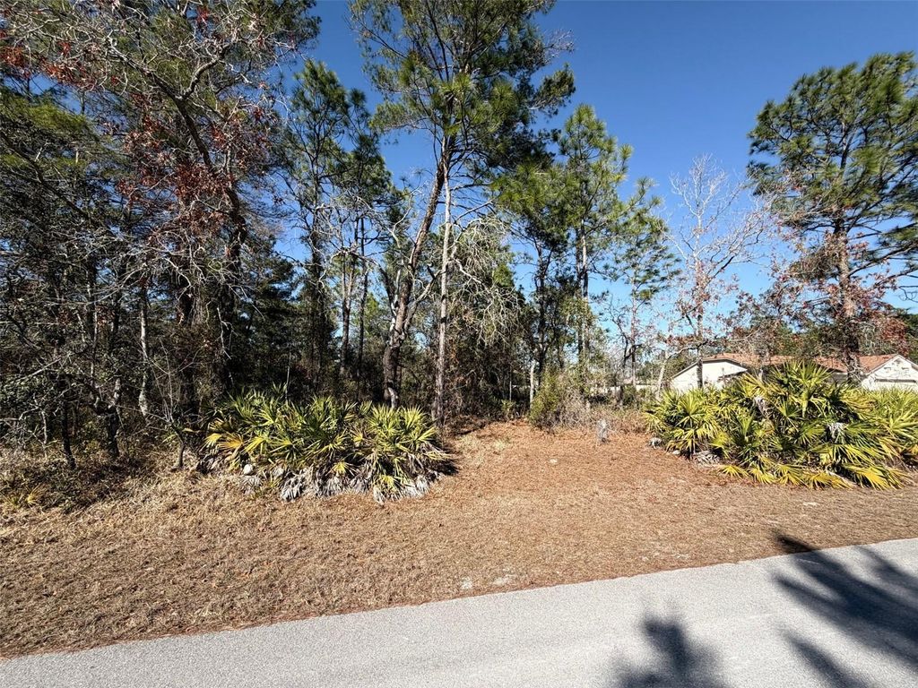 Photo of 0 Fool Duck Avenue, Weeki Wachee, FL 34613 (MLS # W7882602)