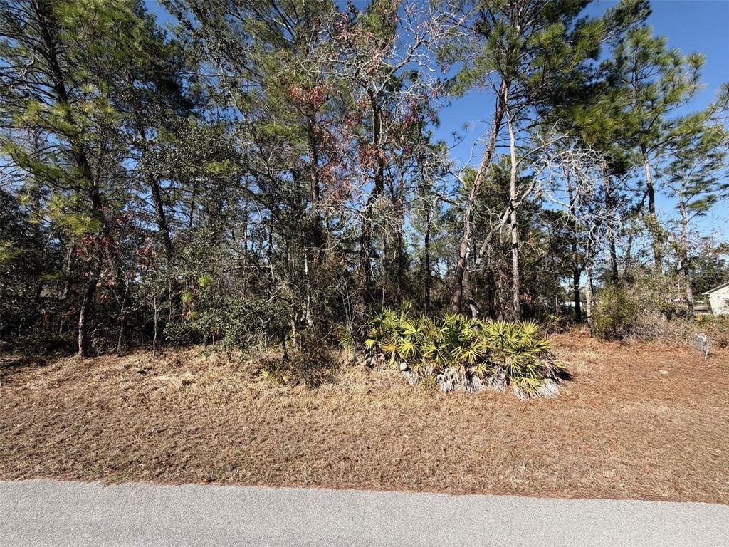 Photo of 0 Fool Duck Avenue, Weeki Wachee, FL 34613 (MLS # W7882602)