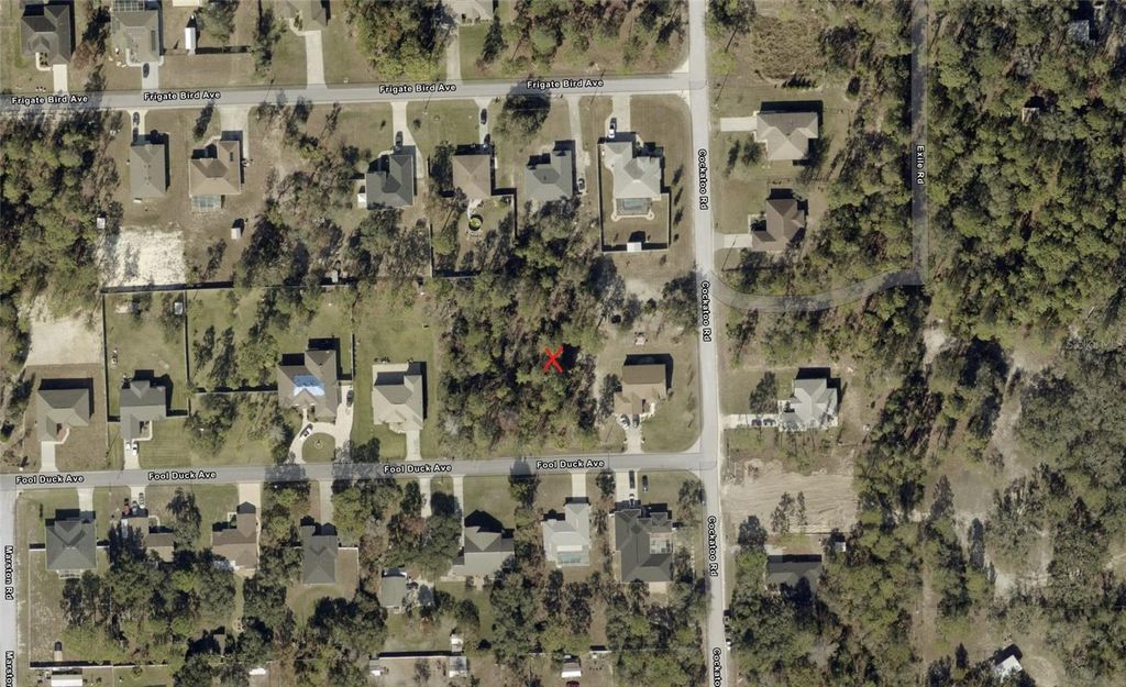 Photo of 0 Fool Duck Avenue, Weeki Wachee, FL 34613 (MLS # W7882602)
