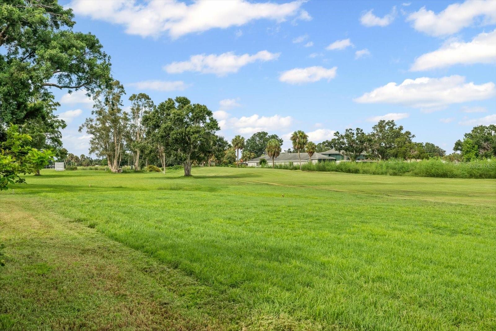 VILLAGE GREEN CLUB ESTATES - Residential