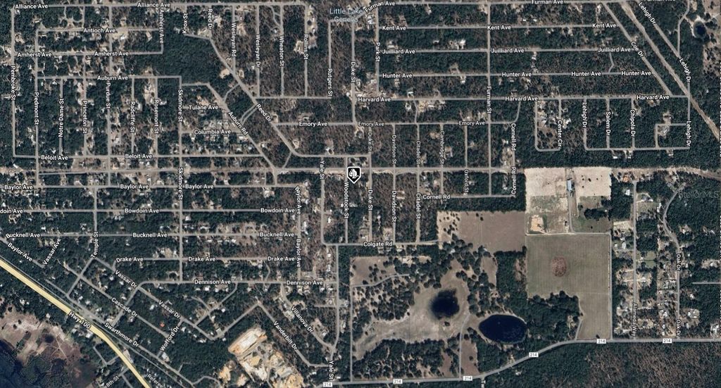 Photo of 7243 Woodstock Street, Keystone Heights, FL 32656 (MLS # A4686566)