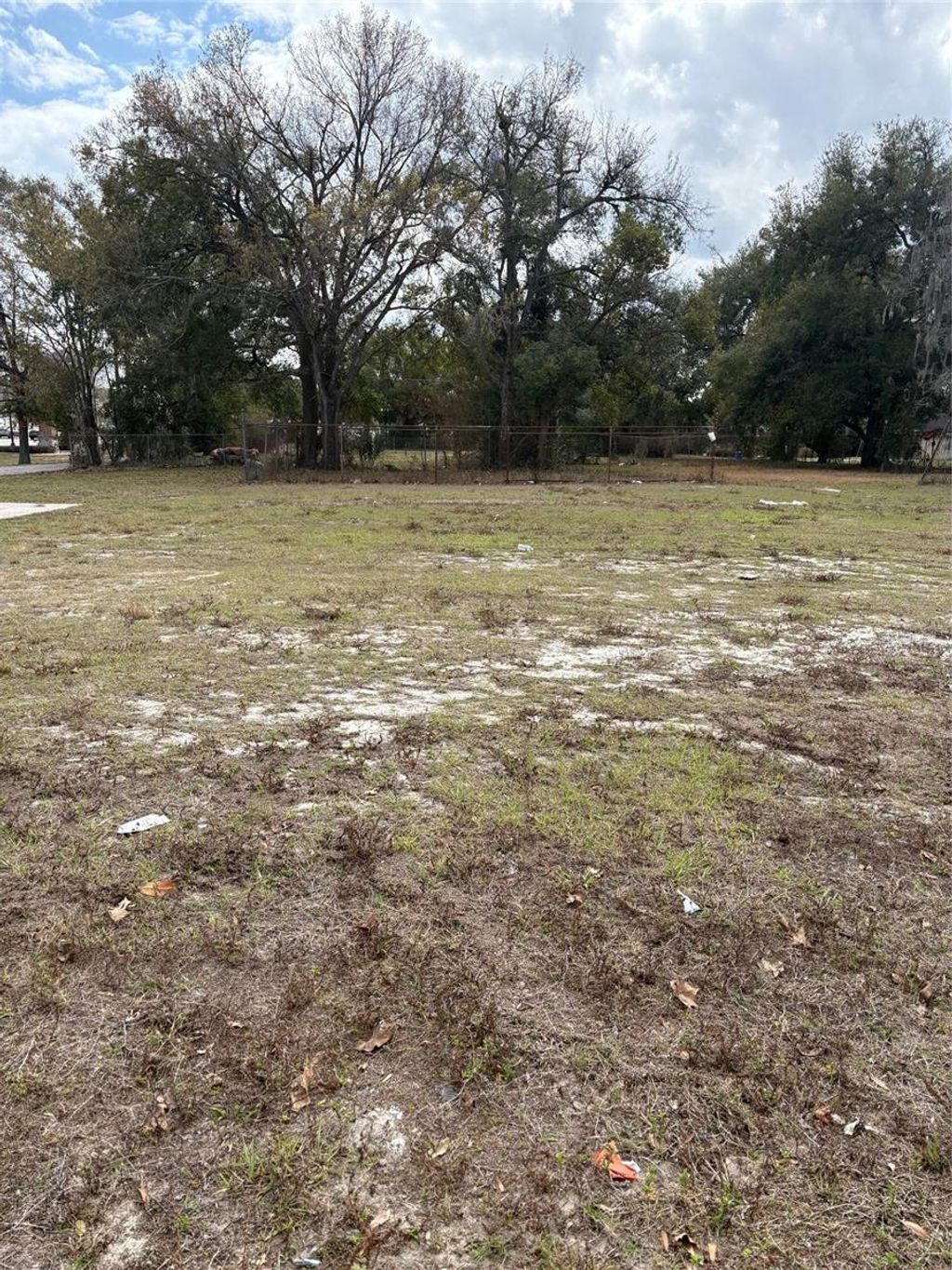 Photo of 114 W Parker St, Lakeland, FL 33815 (MLS # G5108880)