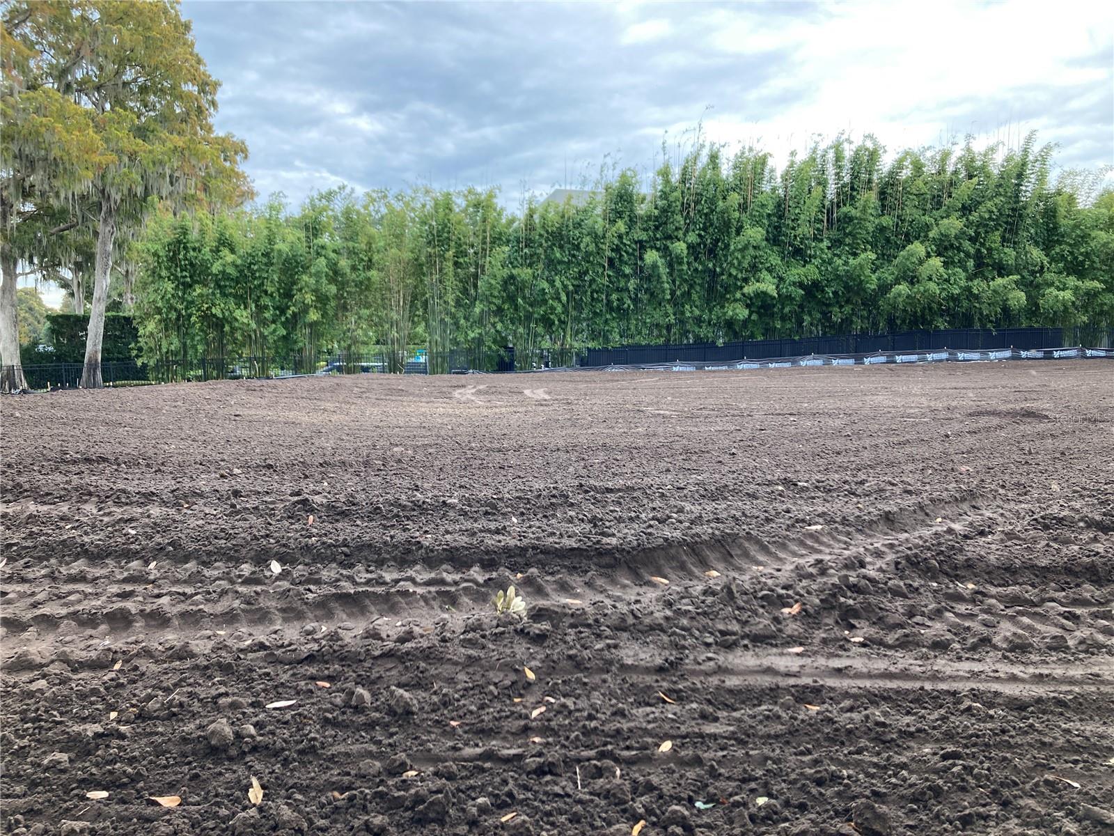 LT A BLK A REP - Land