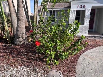 HARRELLS ADDIE B SUB - Residential