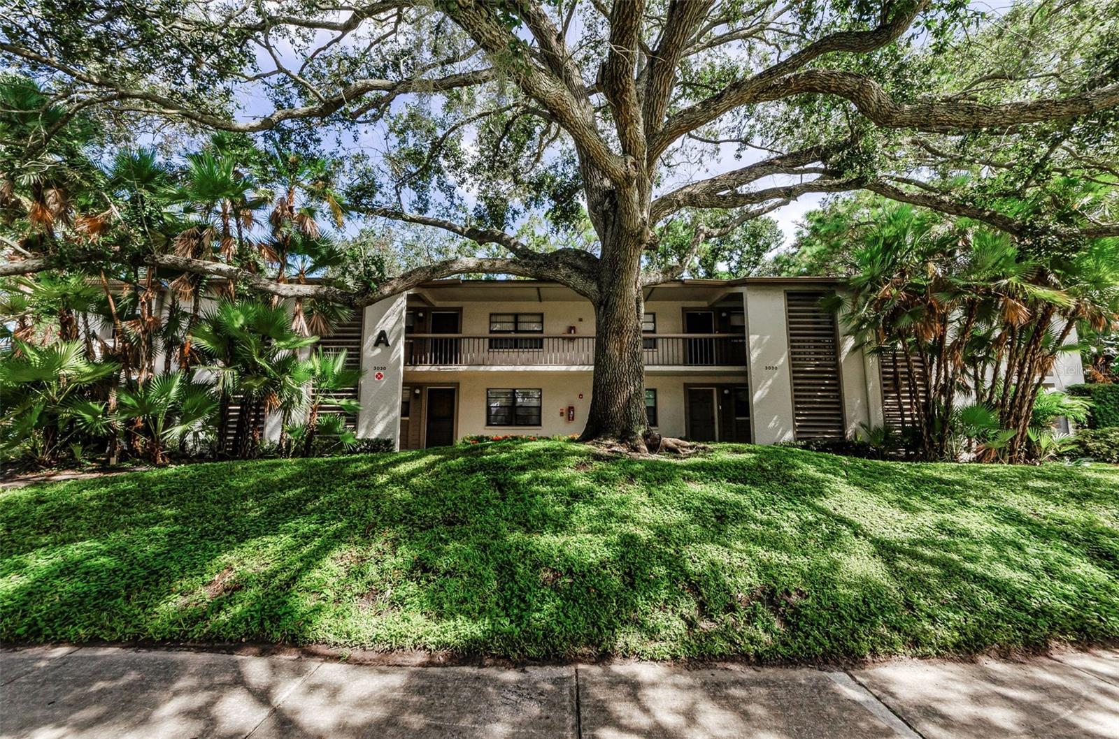 This lovely condo is nestled in the perfect location! Renovated with tile flooring throughout, new kitchen with stainless steel appliances, granite countertops & new baths! All new light fixtures, and laundry in the unit! PLUS, you cannot beat the FIRST FLOOR location! Easy access to shopping, hospitals, places of worship, McMullen Booth, the Causeway, and beaches. Don't miss this one, easy application process. Community has a pool and assigned parking! Room sizes are approximate and should be verified by tenant. Very walkable to Publix, banks, food choices and more!